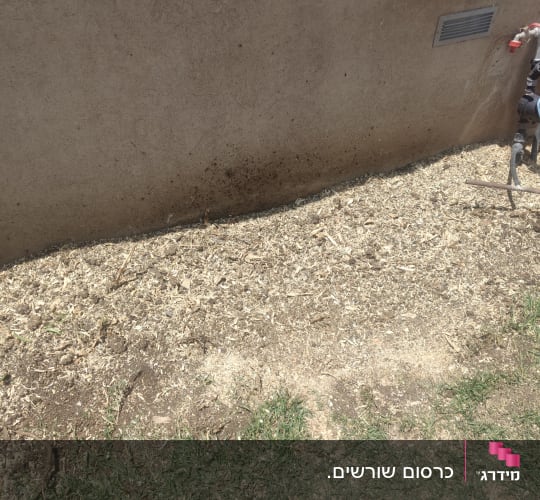 אזור גינה עם שבבי עץ ודשא
